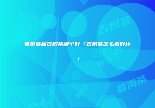 老树茶和古树茶哪个好「古树茶怎么看好坏」