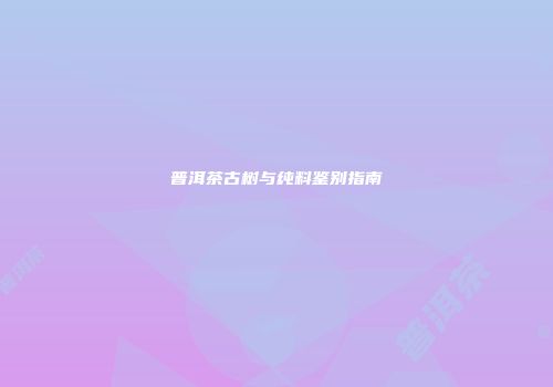 普洱茶古树与纯料鉴别指南
