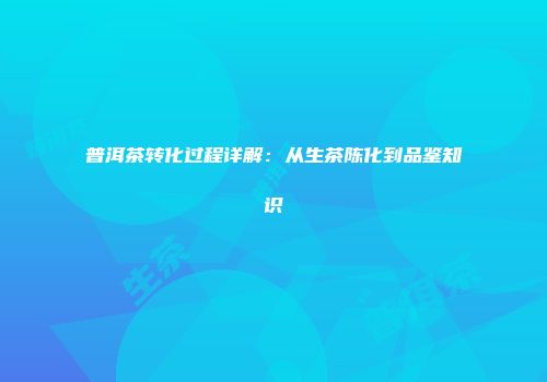 普洱茶转化过程详解：从生茶陈化到品鉴知识