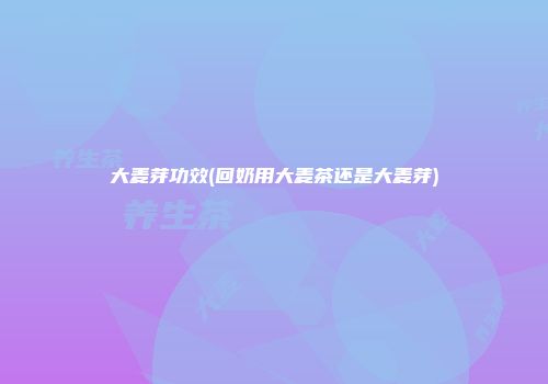 大麦芽功效(回奶用大麦茶还是大麦芽)