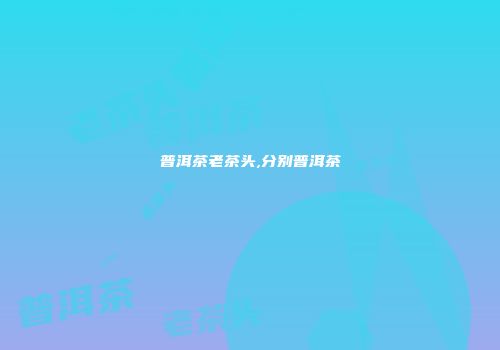 普洱茶老茶头,分别普洱茶