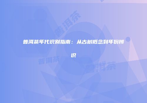 普洱茶年代识别指南：从古树概念到年份辨识