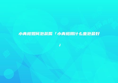 小青柑如何泡茶喝「小青柑用什么壶泡最好」