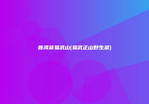 普洱茶易武山(易武正山野生茶)