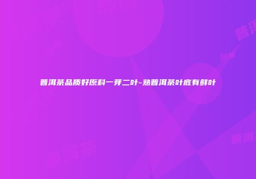 普洱茶品质好原料一芽二叶-熟普洱茶叶底有鲜叶