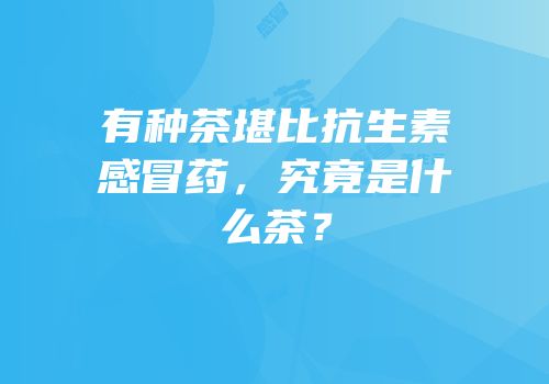 有种茶堪比抗生素感冒药，究竟是什么茶？