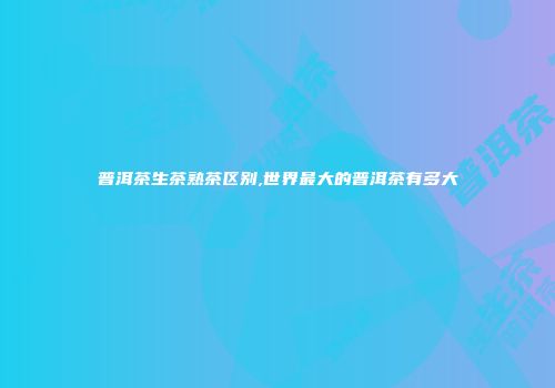 普洱茶生茶熟茶区别,世界最大的普洱茶有多大