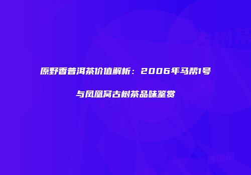 原野香普洱茶价值解析：2006年马帮1号与凤凰窝古树茶品味鉴赏